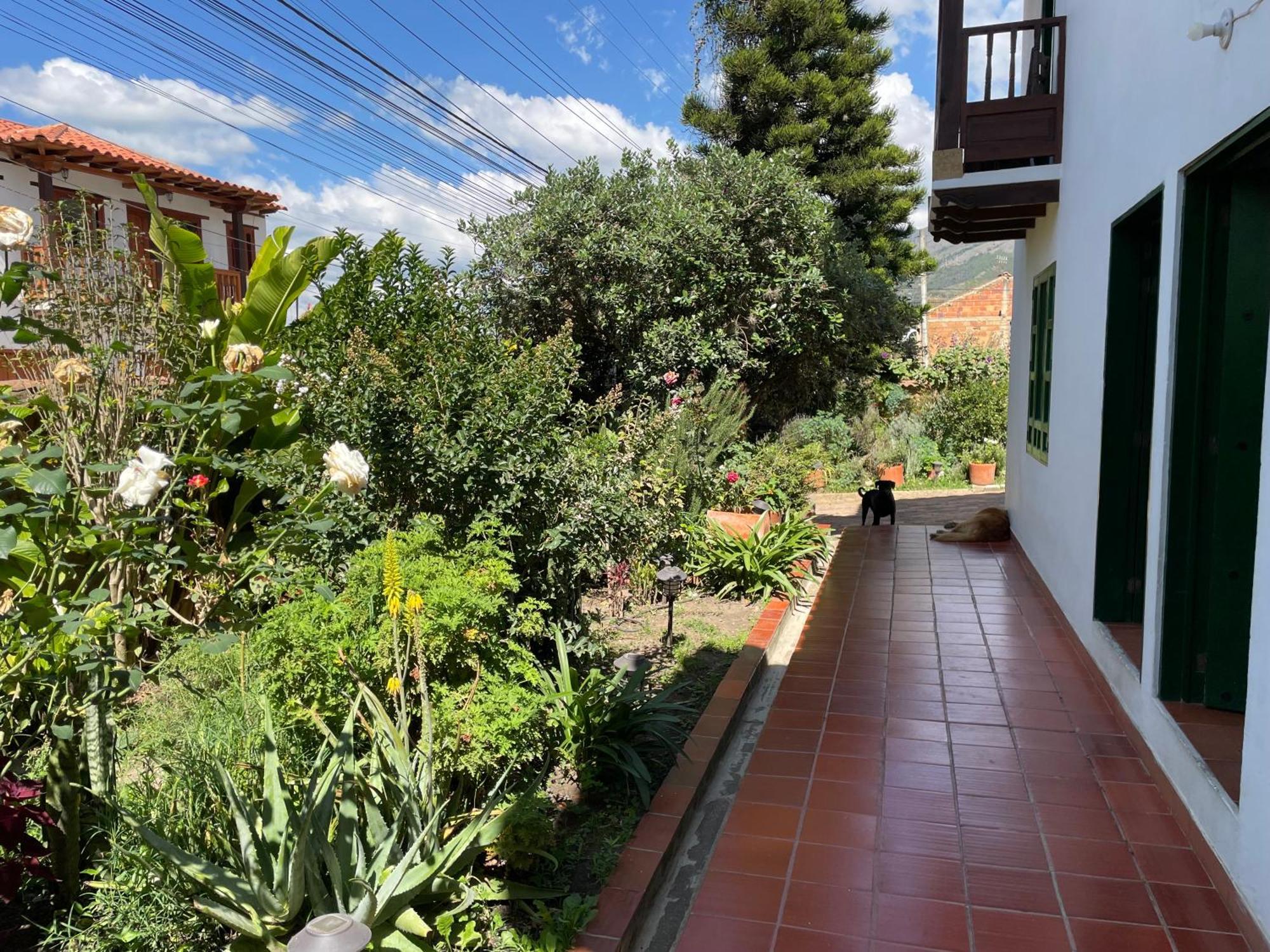 Hostal El Pino Villa de Leyva Luaran gambar