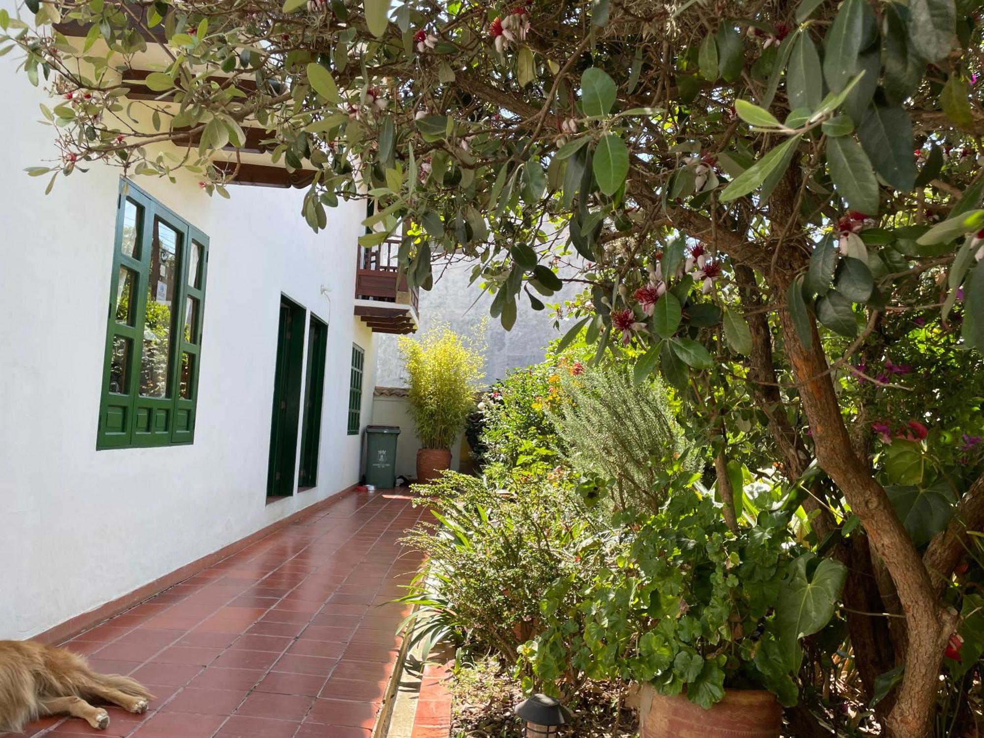Hostal El Pino Villa de Leyva Luaran gambar